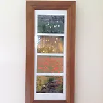 Hawthorn View