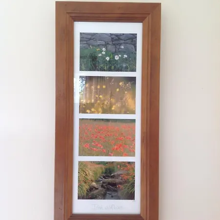Hawthorn View