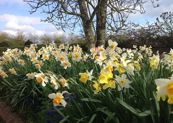 Bed and breakfast Hawthorn View