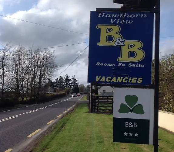 Hawthorn View Thurles